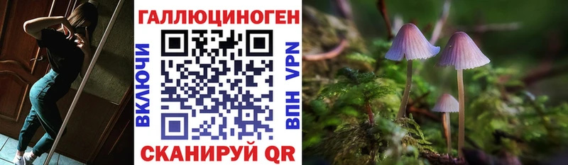 как найти наркотики Маркс Галлюциногенные грибы Psilocybine cubensis