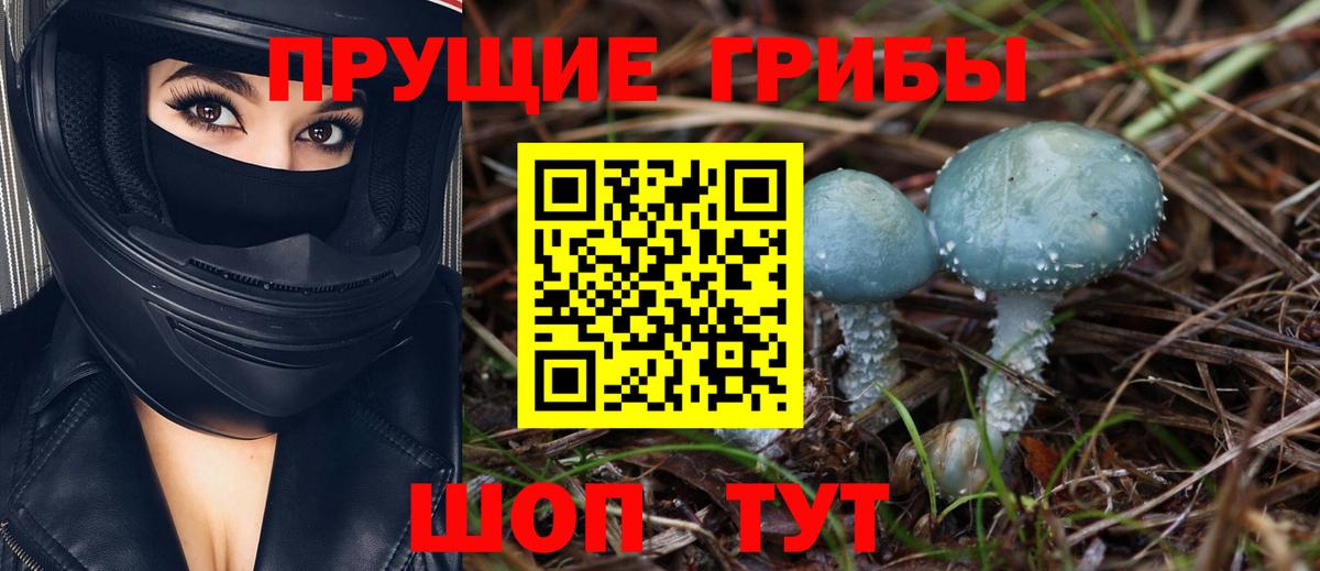 Галлюциногенные грибы мухоморы Маркс